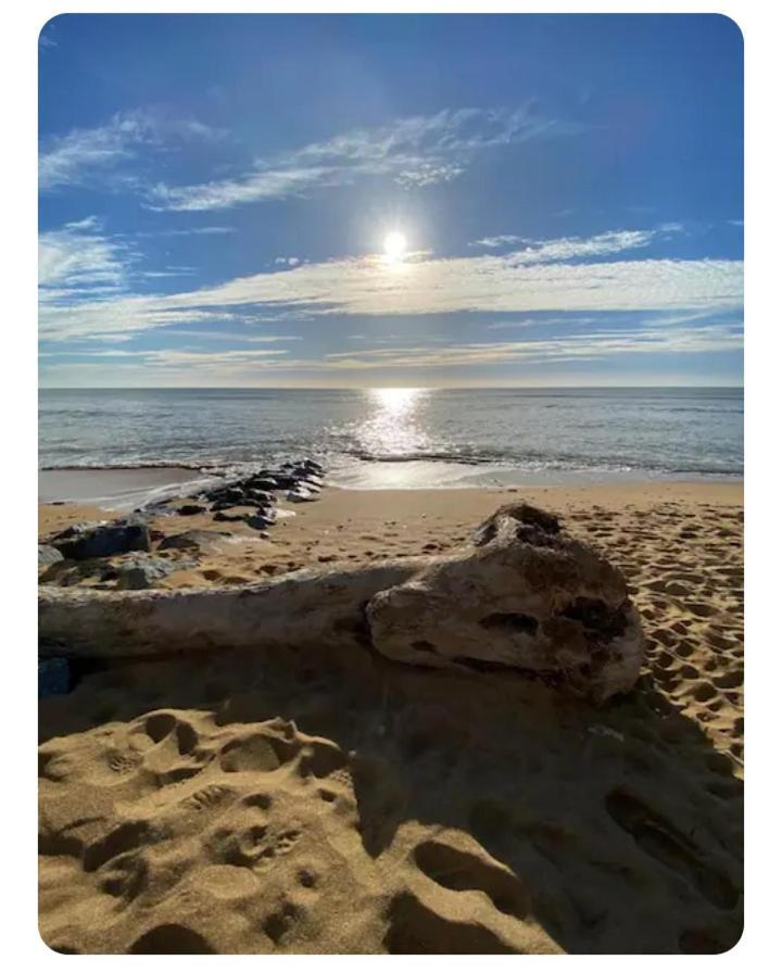 Les Pieds Dans L'Eau Acces Direct A La Plage La Cotinière Dış mekan fotoğraf