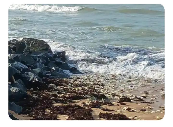 Les Pieds Dans L'Eau Acces Direct A La Plage La Cotinière Dış mekan fotoğraf
